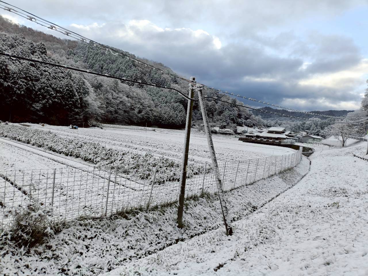 line album ふくちやーまん 260121 89