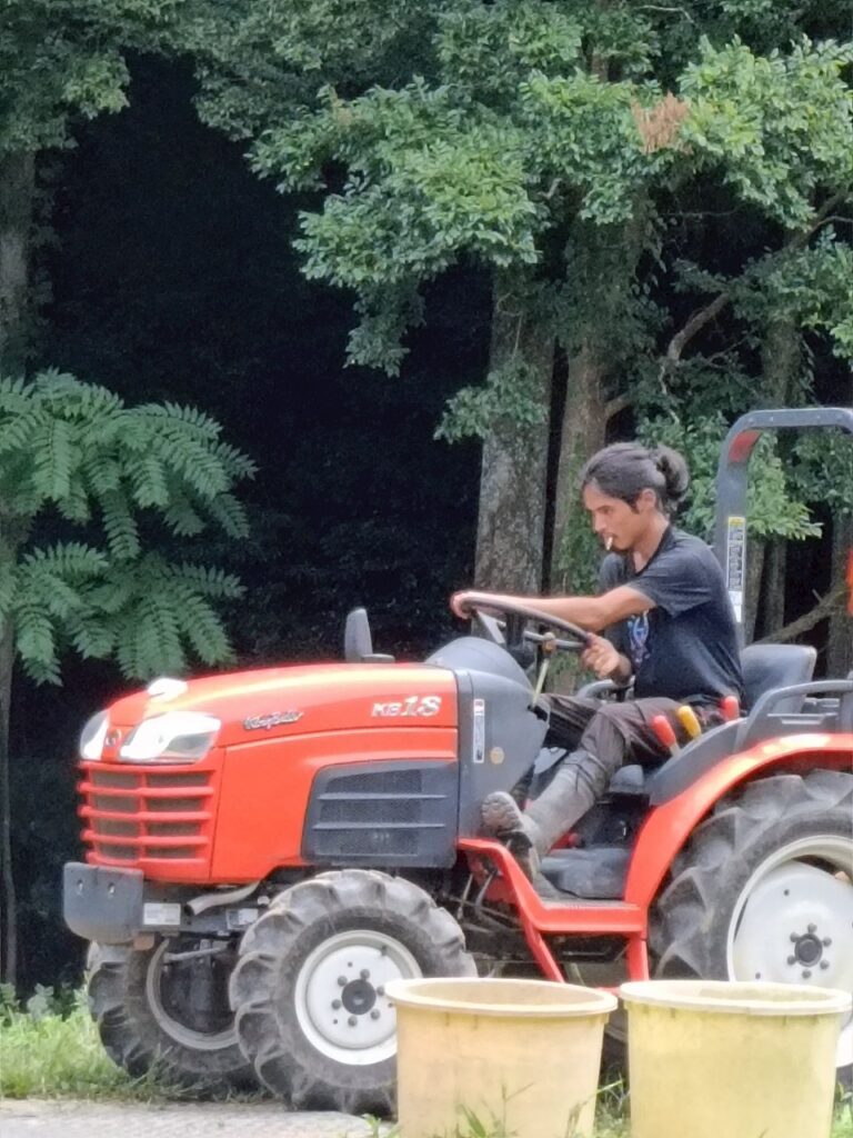 line album ふくちやーまん 260331 173